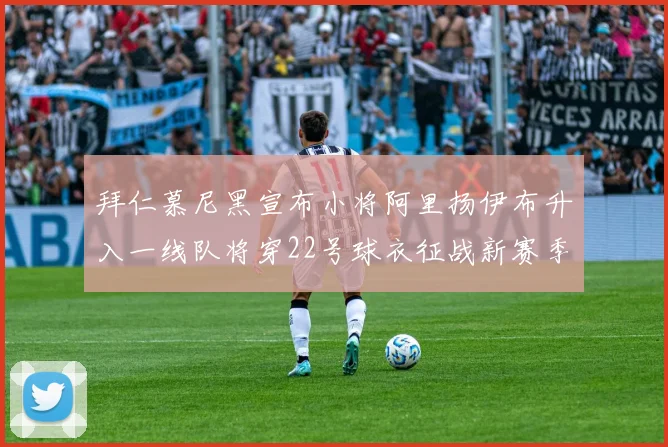 拜仁慕尼黑宣布小将阿里扬伊布升入一线队将穿22号球衣征战新赛季